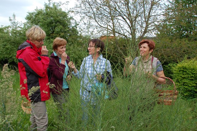 Foto: Gesunde Gemeinde Wolfern