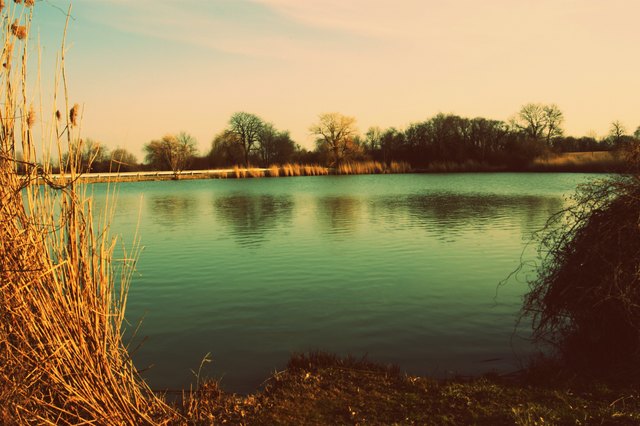 Schönauer Teich Thema auf meinbezirk.at