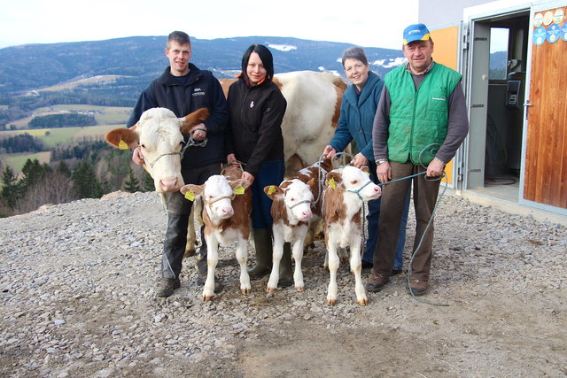 Glocke mit ihren Drillingen Gitti, Gundi und Goldberg sowie den glücklichen Besitzern, der Familie Ebner aus Köppelreith.