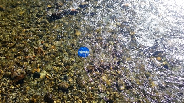 ...habe ich heute in der Lieser entdeckt...