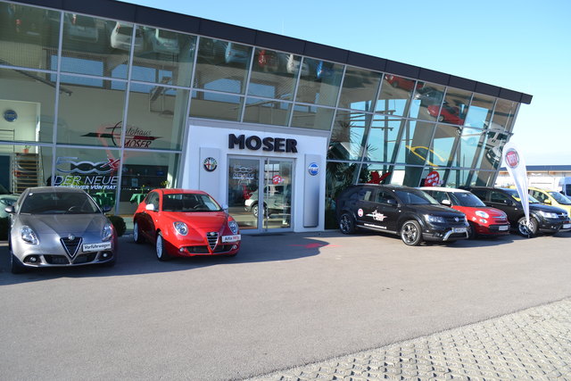 Auto Moser See