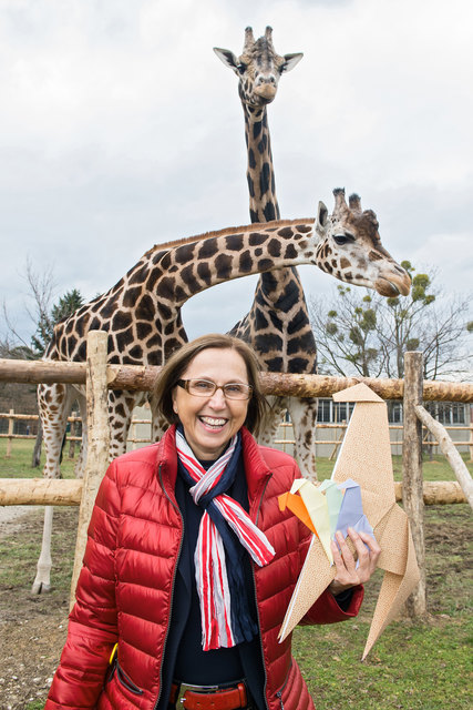 Tiergartendirektorin Dagmar Schratter mit Origami-Giraffen. | Foto: Daniel Zupanc