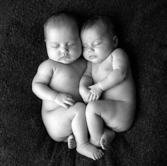 Foto: Patricia van den Bogaart