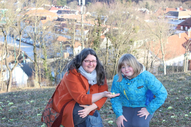 Die Kräuterpädagogin Sybille Zadra und ihre Tochter Lena pflücken Primeln. Bei einem Husten wirken diese schleimlösend.