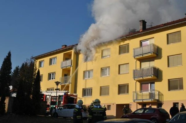Foto: M. Kozmich