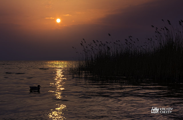 Eine wunderschöne Lichtstimmung gab es gestern Abend in Weiden am See (Neusiedlersee) beim Sonnenuntergang. Das Foto entstand um ca. 17:10 Uhr.