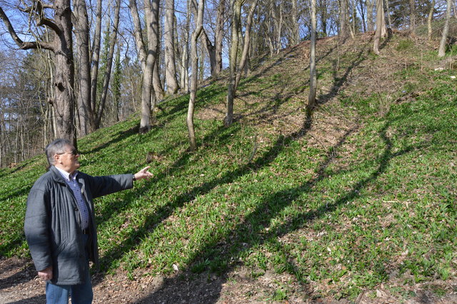 Friedrich Radner zeigt die Lage des einstigen Luftschutzstollens im Kurpark