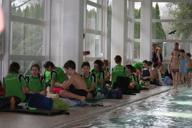 Die große Steyrer Schwimmkolonie in Traun