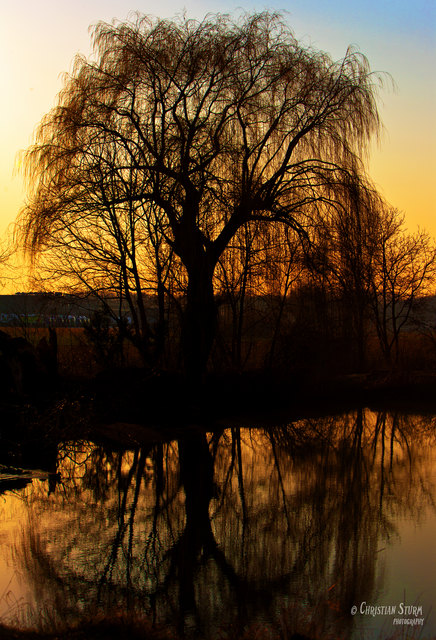 Canon EOS-1Ds Mark II
 1/500Sek.
 F/8
 ISO 100
 Brennweite 70mm