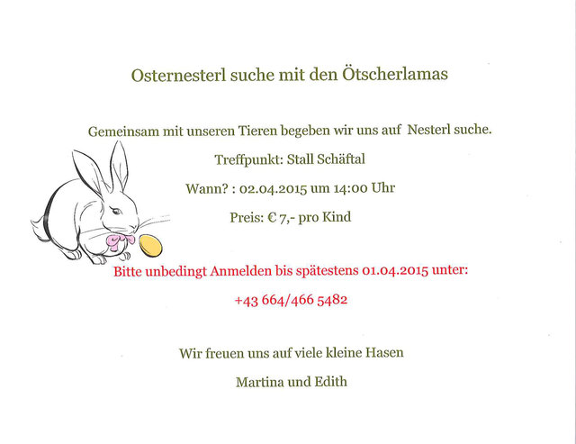 Mit den Lamas werden beim Stall Schäftal Osternesterl gesucht. | Foto: Marktgemeinde Gaming