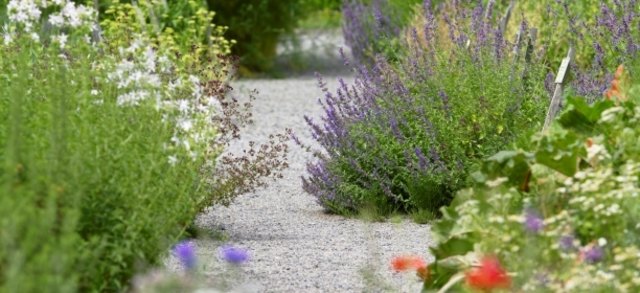 (c) Natur im Garten / Alexander Haiden