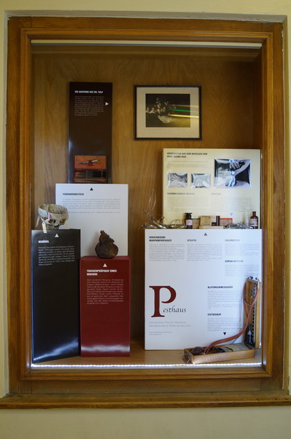 Die Pesthausvitrine auf der Anatomie