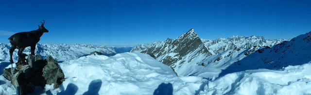 Bei dieser Aussicht auf das atemberaubende Tiroler Bergpanorama des Ötztales ist es kein Wunder, dass die Gemse "angewachsen" ist....!