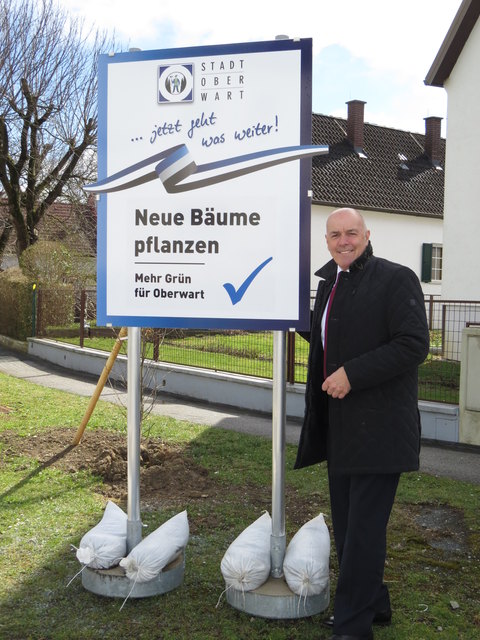 Foto: Kerstin Zsifkovits