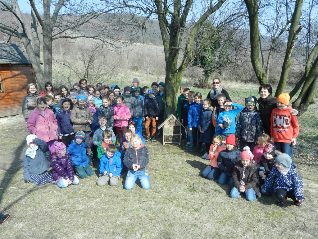 Ein Insektenhotel Für Volksschule Donnerskirchen Eisenstadt Kinder Der Volksschule Donnerskirchen Freuten Sich über Das Insektenhotel In Ihrem Schulgarten