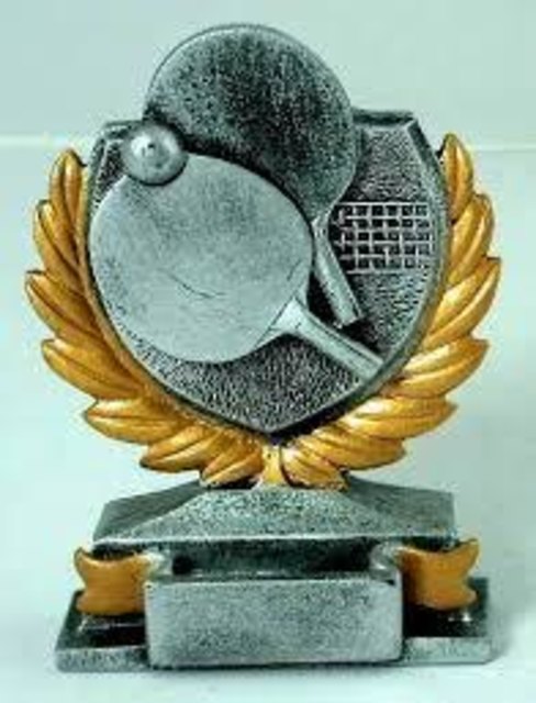 Tischtennispokal