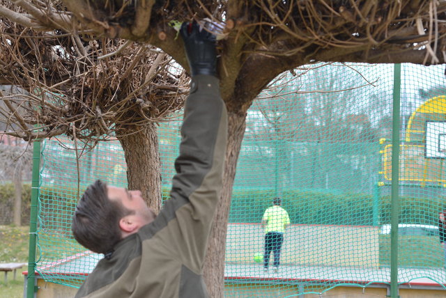 Sogar auf dem Baum versteckte GR David Tuttner das Osternest.