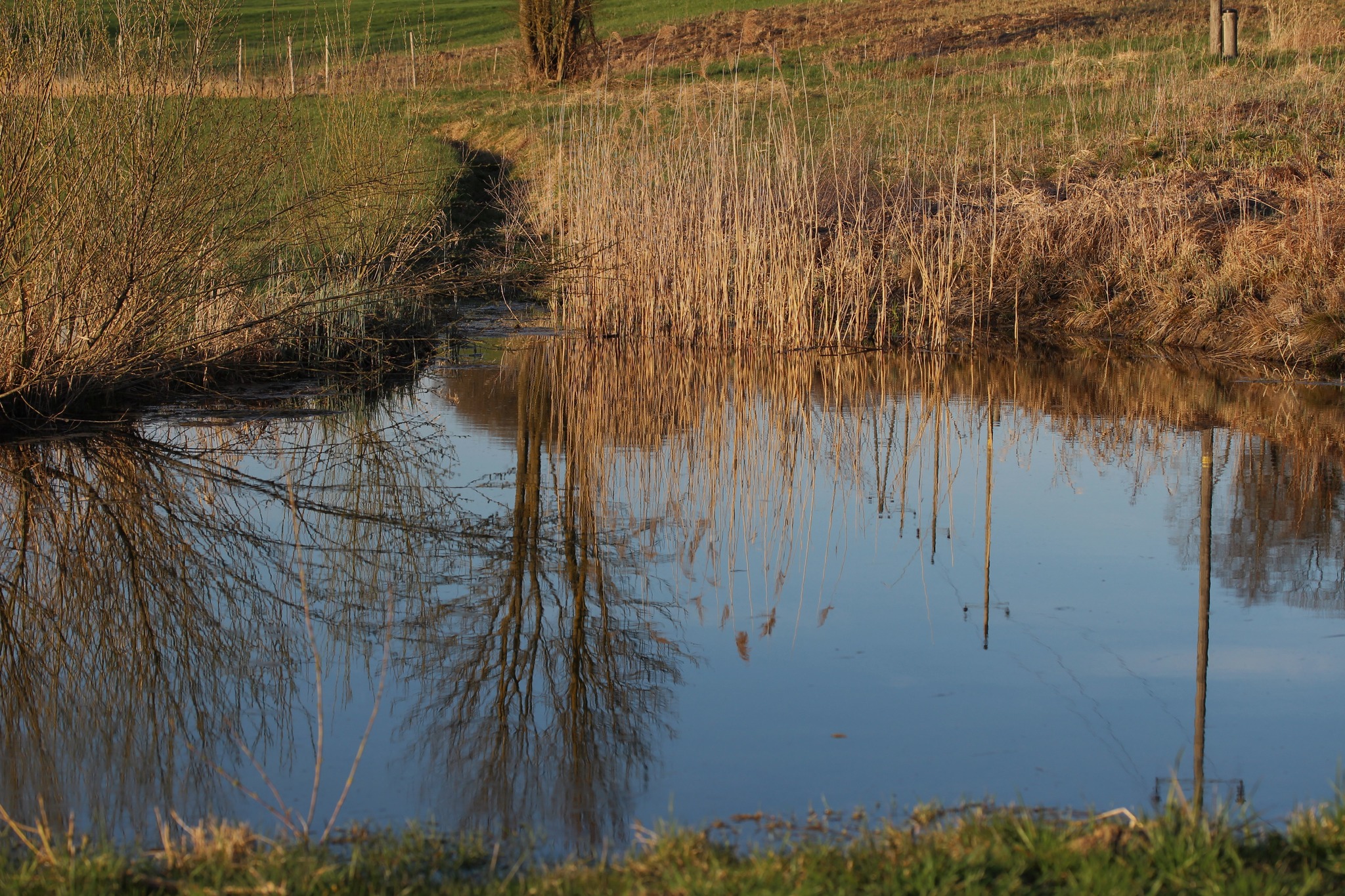 ACHTUNG "Starkstrom" im Teich Vöcklabruck
