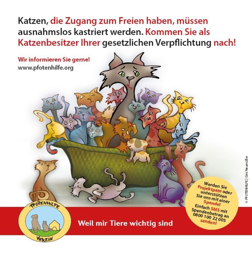 Die Kastration Von Freigangerkatzen Ist Ein Wichtiger Beitrag Zum