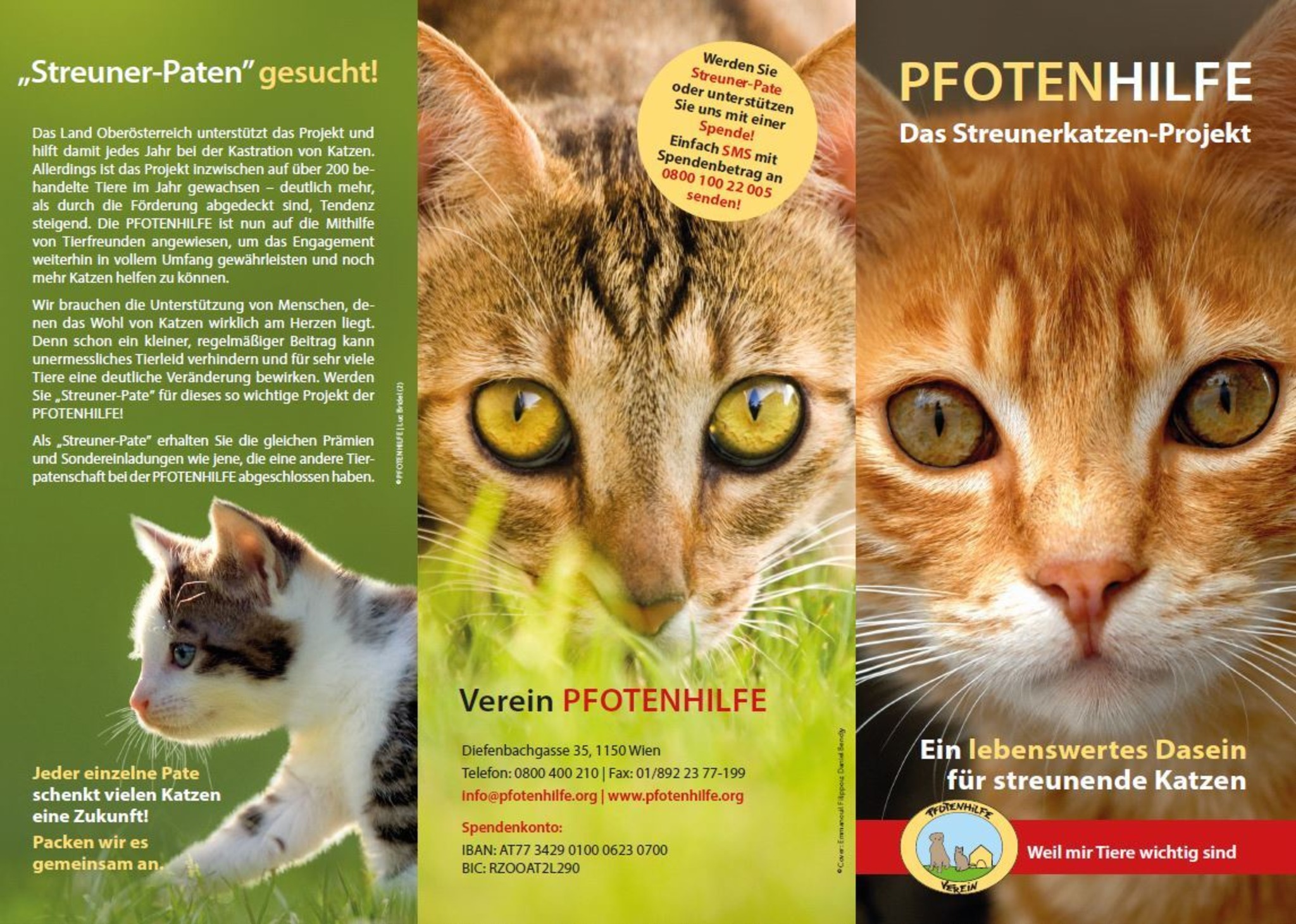 Die Kastration Von Freigangerkatzen Ist Ein Wichtiger Beitrag Zum