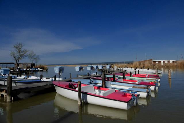 ............ in Neusiedl am See