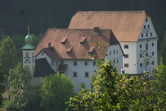 Im Forstmuseum wird Forstschichte für die breite Öffentlichkeit erlebbar. | Foto: KK