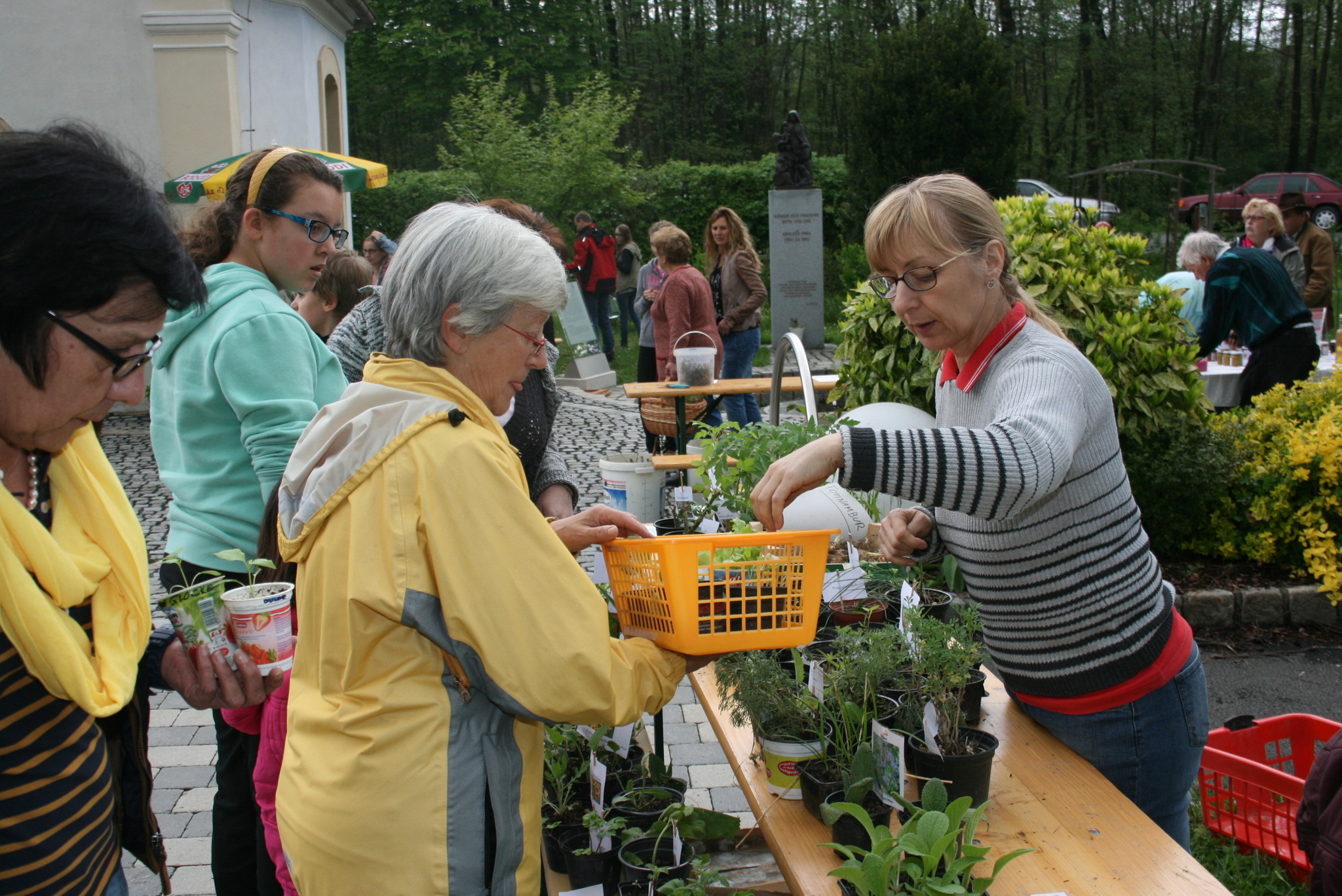 11. Pflanzenmarkt in Ollersdorf Güssing