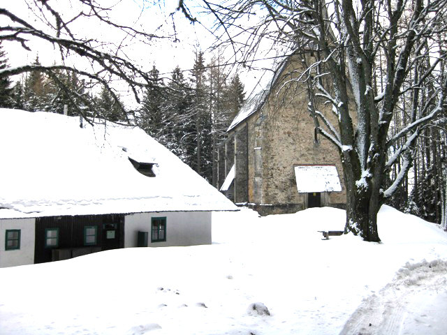 Bald ist es wieder so weit, den Schnee haben wir hinter uns und die Blumen blühen wieder | Foto: Wornik