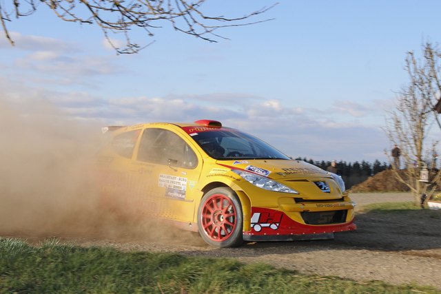 Rigler /Rossgatterer (Peugeot 207 S2000)