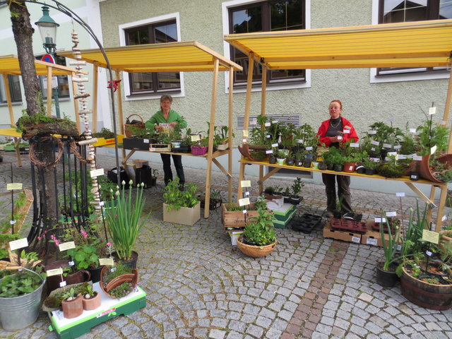 Pflanzlmarkt am 9. Mai 2015 | Foto: Foto: privat