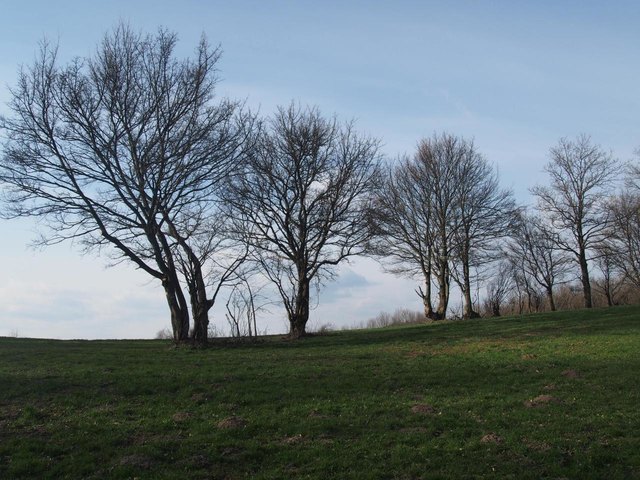 Sattel beim Kleinen Marchberg