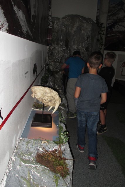 Ein roter Faden führt durch die Steinzeit-Ausstellung