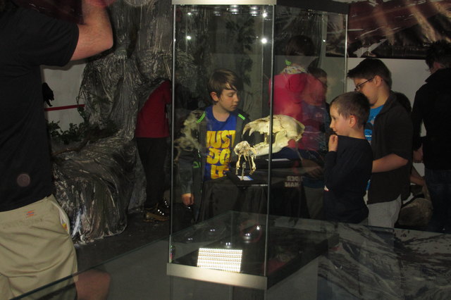 Wow - fast gruselig dieser Schädel