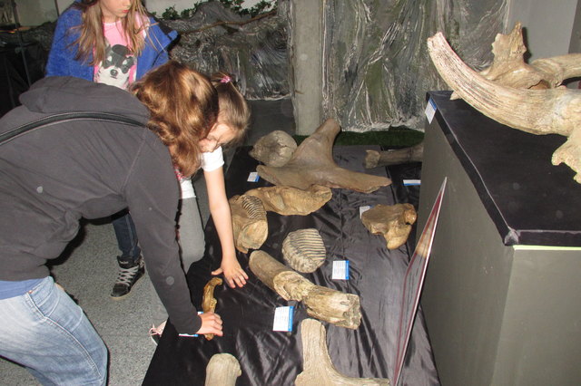 Angreifen erwünscht