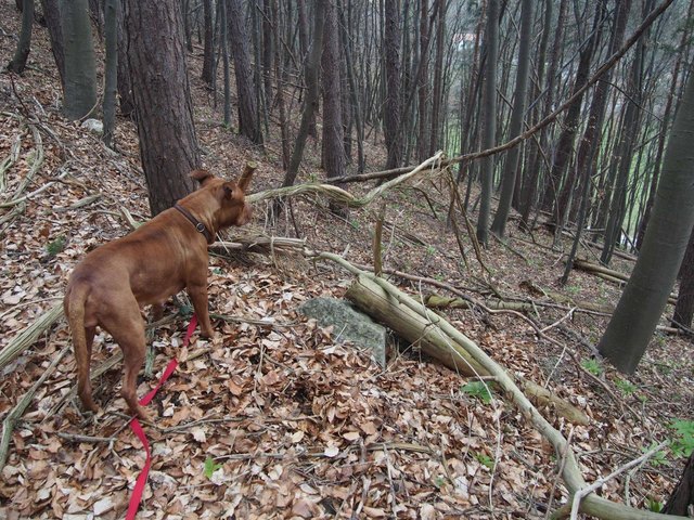 Was gibt´s da unten?