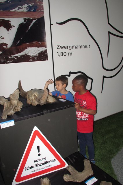 Achtung - echte Eiszeitfunde!
