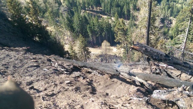 Direkt nach dem Brand: Die Flächen sollten so schnell wie möglich wieder aufgeforstet werden | Foto: FF Möllbrücke