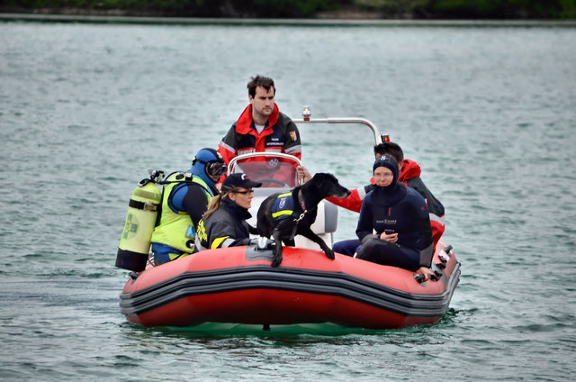 Am Internationalen Tag des Rettungshundes finden ab 14 Uhr Vorführungen statt. | Foto: privat