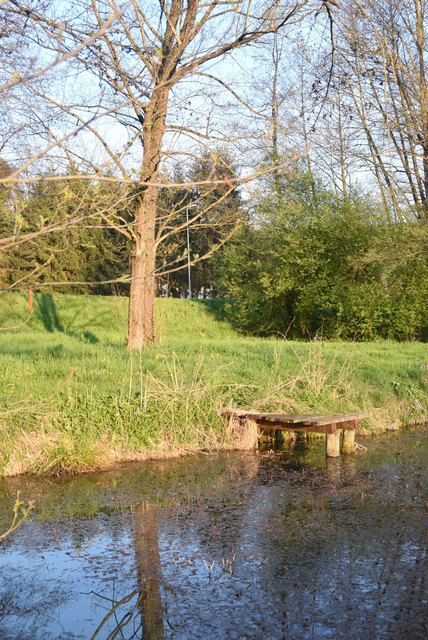 Der „Grazer Tumpf“ ist ein wichtiges Laichgewässer für Kröten und Frösche.