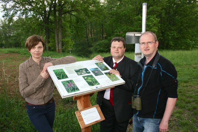 Bei der Feuchtwiese am Haslingerbach: Biologin Birgit Fink, Bürgermeister Bernd Strobl und Klaus Michalek vom Naturschutzbund.