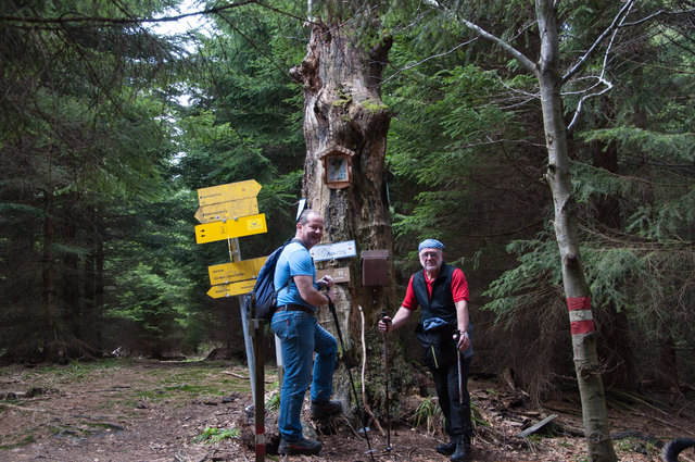 Zahlreiche Henndorfer bangen um ihr Wandergebiet. Im Bild Bernd Aberer und Gerd Wohlschlager.