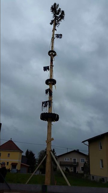 Der Andorfer Maibaum ziert nun den Dorfplatz in Dorf an der Pram. | Foto: Strasser