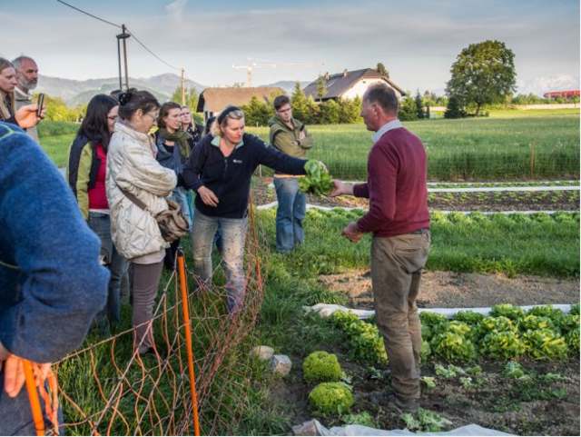 Foto: FoodCoop Bonaudelta