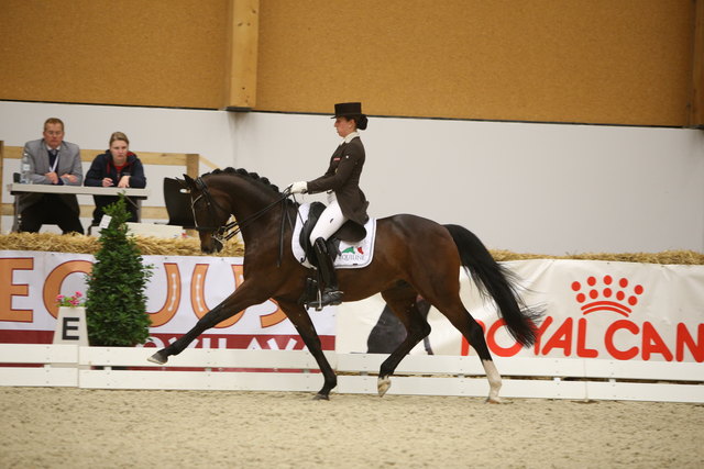 Titelverteidigerin Astrid Neumayer ist jene Reiterin, die es im diesjährigen "Equus Ovilava"-Turnier zu schlagen gilt. | Foto: Brunnmayer