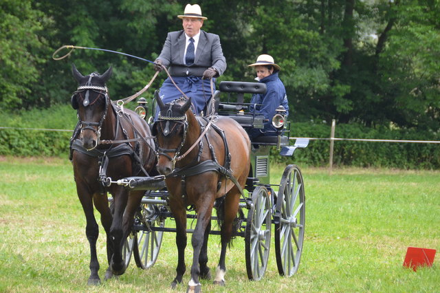 Lokalmatador Wolfgang Binder fährt auch für die Pferdefreunde Rabnitztal mit seinem Gespann mit.