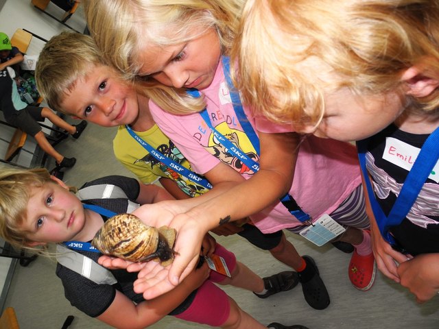Foto: Kinderuni Ennstal