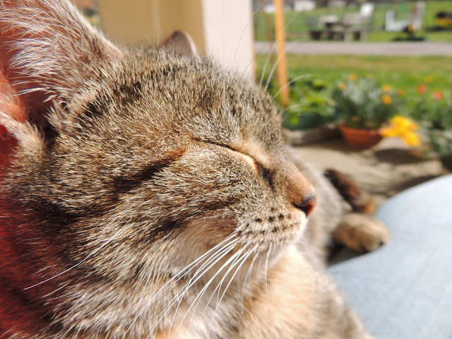 Estella beim Sonne tanken