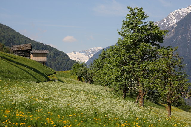 Wunderbarer Wiesenweg