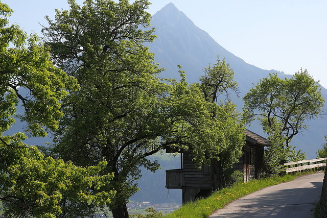 Aufstieg zum Wiesenweg, im Hintergrund der Tschirgant