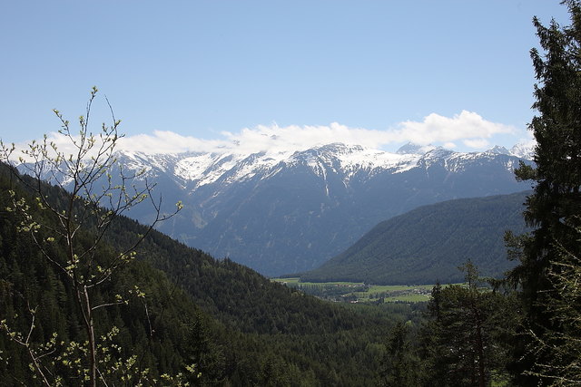 Über den Forstweg hinunter, mit Blick nach Obsteig